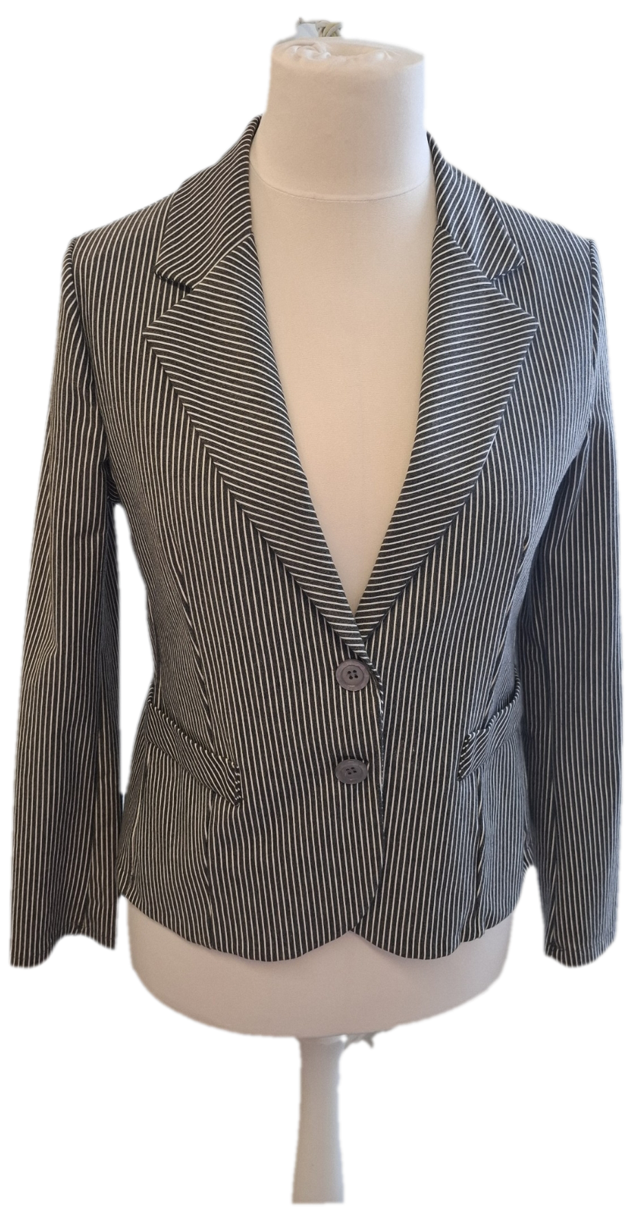 Pin Stripe Jacket